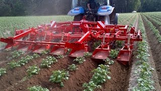 GRIMME GH 6 Eco  Ridging Hiller [upl. by Rehsa]