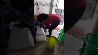 Fumigation services at Kabete Gardens [upl. by Nicko228]