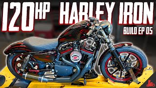 Harley Iron 883 to 1275 Build Ep 05 [upl. by Tjaden]