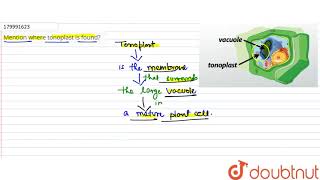 Mention where tonoplast is found  11  CELL  AS THE BASIC UNIT OF LIFE  BIOLOGY  SANTRA P [upl. by Tterrej413]