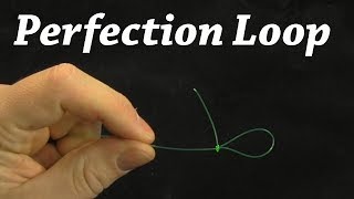 How to Tie a Perfection Loop Knot  Fishing Knot [upl. by Idnarb899]