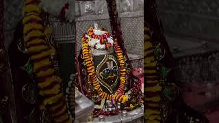 हरहरमहादेव jinka Bhagya achcha nahin chal raha hai chalo Mahakal darshan [upl. by Francie768]