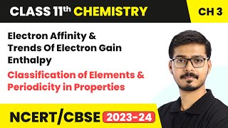 Electron Affinity  Classification of Elements  Class 11th  Chemistry Chapter 3  CBSE [upl. by Narret658]