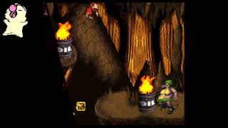 CoOp Donkey Kong Country  22 [upl. by Nosnehpets269]