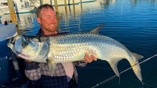 Fishing for Tarpon from the Dock [upl. by Noram]