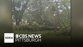 Storms bring down trees knock out power to thousands in Beaver County [upl. by Jotham]