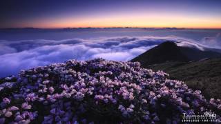 合歡山玉山杜鵑雲海星空銀河 縮時攝影 TIME LAPSE TAIWAN BY louisch 陳志通 HD 1080P [upl. by Lissner119]