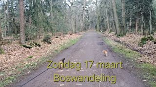 Zondagochtend wandeling [upl. by Wil]