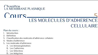 Les molécules d adhérence cellulaire [upl. by Kellene]