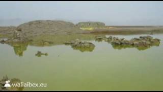 Dallol Volcanos Acid Lakes [upl. by Nivlak294]