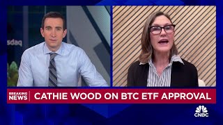 ARK Invest CEO Cathie Wood We believe that bitcoin is a public good [upl. by Eliathas]