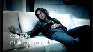 DAVID BISBAL SI MIRO AL CIELO  Lyrics [upl. by Anaik]