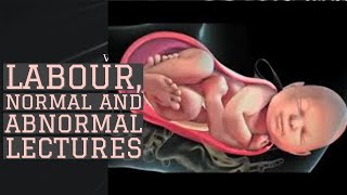 LABOUR lecture 4MANAGEMENT of NORMAL LABOUR all important points [upl. by Sillaw]