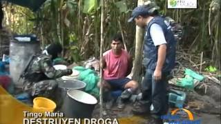 Capturan a dos narcotraficantes en plena fabricación de droga en Tingo María [upl. by Bollay]