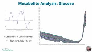 Mammalian Cell Culture  Raman as a Means of Monitoring amp Controlling Upstream Bioprocesses [upl. by Sitoel]