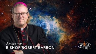 Bishop Barron on Fr George Coyne and the Fertile Cosmos [upl. by Enoed]