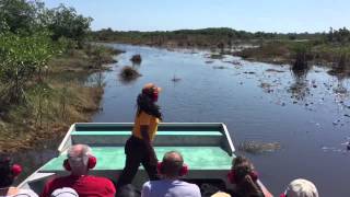 Airboat Ride in Belize  Crazy Fun Excursion [upl. by Eibrik177]