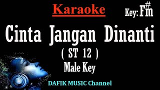 Cinta Jangan Dinanti Karaoke ST 12 Nada Pria Cowok Male key Fm [upl. by Enia]