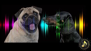 Dogs Barking Sound Effect  Sounds Dogs Love [upl. by Carie]