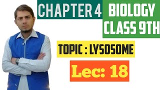 Lysosome Sucide bags  Class 9th Chp 4  Lec 18 [upl. by Leumas]