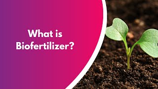 What is biofertilizers Get the actual concept of biofertilizers [upl. by Aminta406]