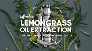 Lemongrass Oil Extraction Machine Efficiency in Every Drop [upl. by Simons]