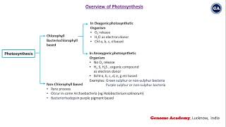 Photosynthesis  Chlorophyll  Bacteriochlorophyll  Bacteriorhodopsin  CSIR  IITJAM  GATE [upl. by Marka]