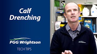 Calf Drenching  PGG Wrightson Tech Tips [upl. by Jeremy]