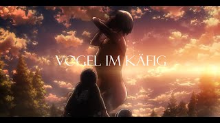 Attack on Titan  Vogel Im Käfig AMV [upl. by Llyrpa]