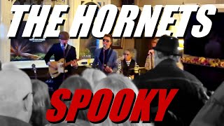 The Hornets  Spooky Live At The Beehive Brentford [upl. by Glynas]