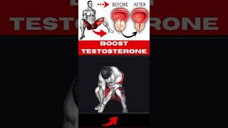 Simple Home Exercise to Boost Testosterone Naturally  Quick amp Effective Routine exercisecorrector [upl. by Bolten45]