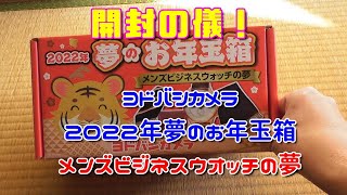 ヨドバシカメラ 2022年 夢のお年玉箱 メンズビジネスウオッチの夢 開封の儀 [upl. by Ynetsed]