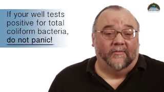 Total Coliform Bacteria Well Water Quality Testing Positive E coli [upl. by Greyso855]