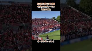 「VAMOS」大宮アルディージャの応援チャント Shorts [upl. by Alyekahs382]