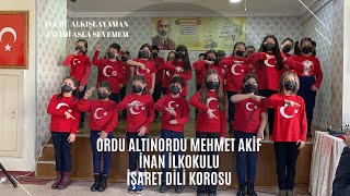 Zulmü Alkışlayamam Zalimi Asla Sevemem12 Mart Gösterisiİşaret Dili İle Şiir Okuma [upl. by Gibbons]