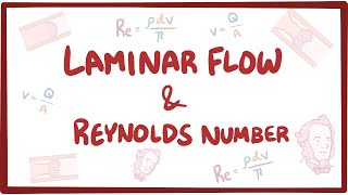 Laminar flow turbulence and Reynolds number [upl. by Corabelle]