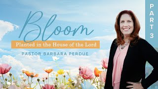 Bloom Part 3  Barbara Perdue  Flourish  102424 [upl. by Reese]