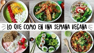 LO QUE COMO EN UNA SEMANA  VEGANO amp SALUDABLE [upl. by Acira]