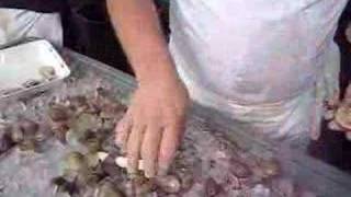 Clam Shucking 101 [upl. by Dina]