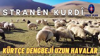 Kürtçe Dengbeji 35 Dk  Herkesi Ağlatan Dertli Dokunaklı Uzun Havalar Stran [upl. by Ynez]