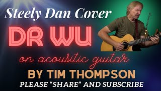 Steely Dan Cover Dr Wu Performed by Tim Thompson Nashville [upl. by Halik]