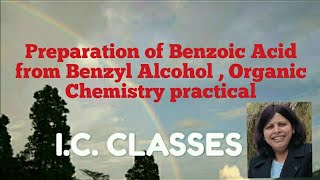 Preparation of Benzoic Acid from Benzyl Alcohol Oxidation Reaction B Sc M Sc Students Practical [upl. by Nyasuh]