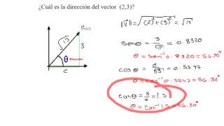 direccion de vectores [upl. by Ikkela]