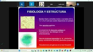 BACTERIOLOGÍA CLASE 4 [upl. by Ilysa]