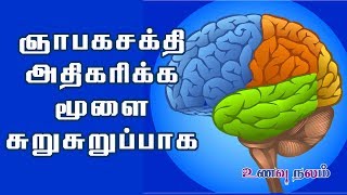 ஞாபக சக்தி அதிகரிக்க  Memory Power Increase Tips in Tamil  Nabaga Sakthi Athikarikka [upl. by Ahcsap]