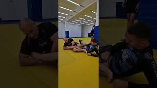 single leg sweep [upl. by Nailimixam]