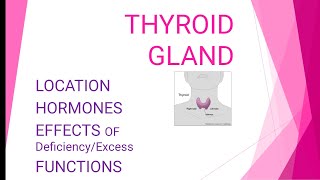 Thyroid gland ZoologyBiologyShorts [upl. by Letti]