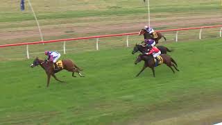 Goondiwindi 20240601 Race 7 [upl. by Edaj51]