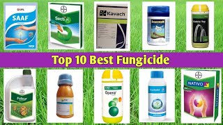 Top 10 Best Fungicide [upl. by Nrehtak]