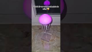 Jetzt auf jellyyoude🪼fyp fy viral viraldeutschland jelly lamp light homedecor decor [upl. by Adnirual]